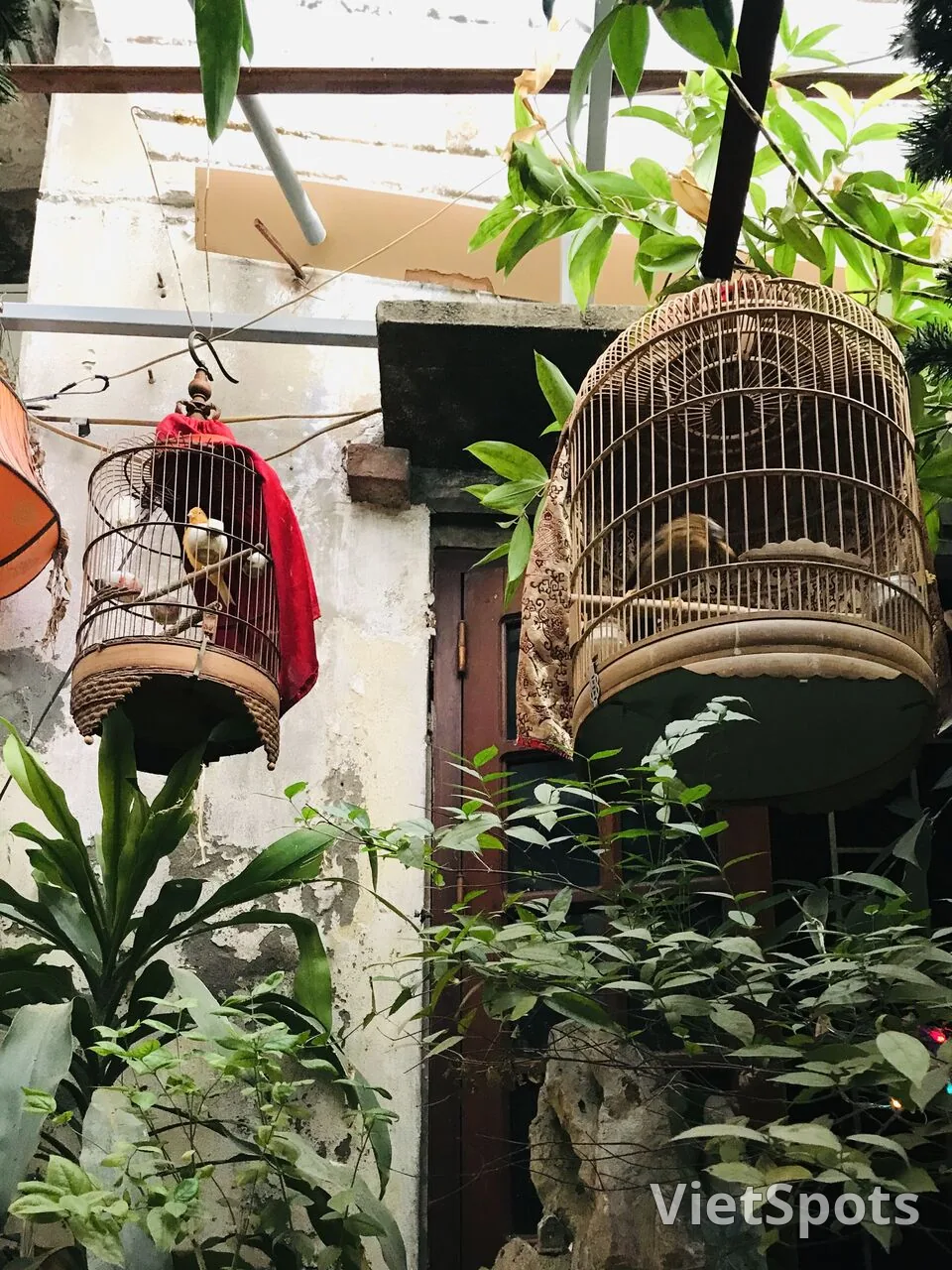 鳥籠カフェハノイ2
