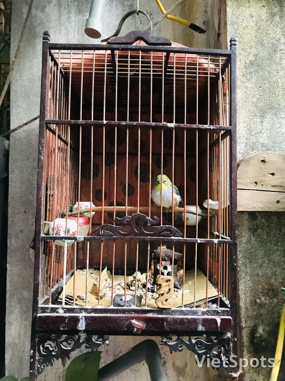 めじろ鳥籠カフェハノイ