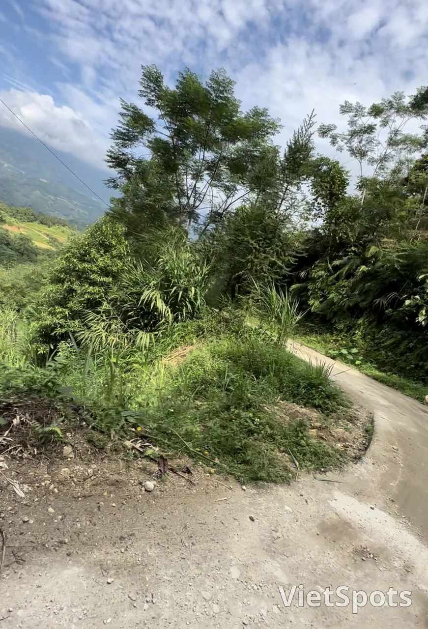 IMG_7775