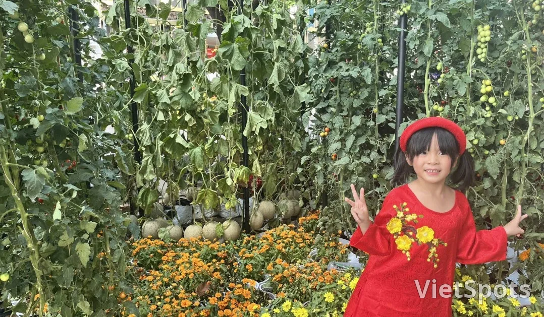 Trình độ tiếng Nhật của một đứa trẻ (7 tuổi) lớn lên ở Việt Nam là như thế nào?