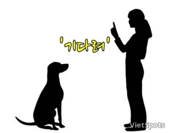 ราคารวมสองชิ้นเท่าไหร่?