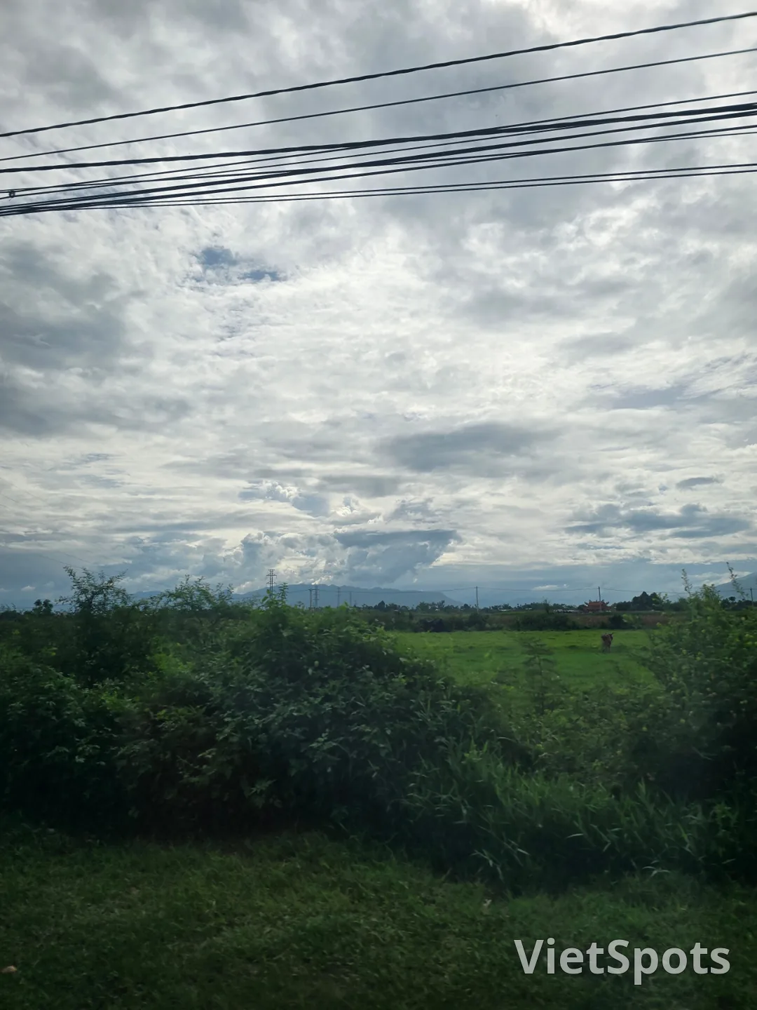 (🇻🇳 Phòng 6, 30/8 - 4/9) Nhật ký du lịch.. Thánh địa Mỹ Sơn (Được dịch là "Tôi sẽ đi gặp con trai tôi!!!!")