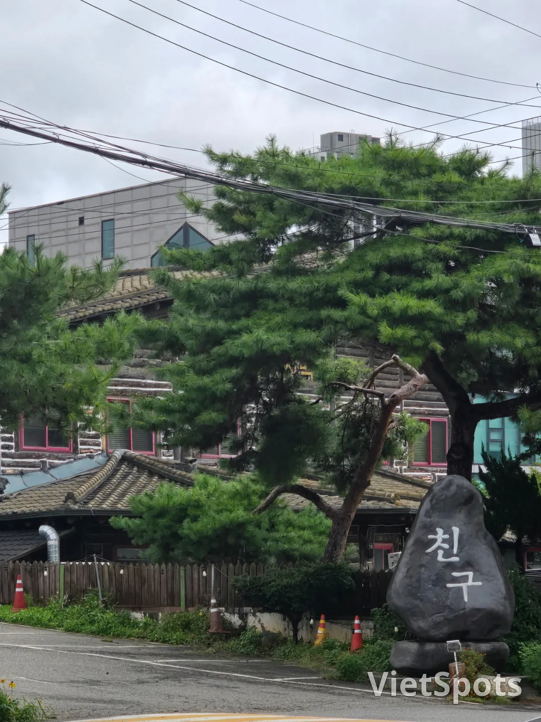🐿 (旅行) 朋友