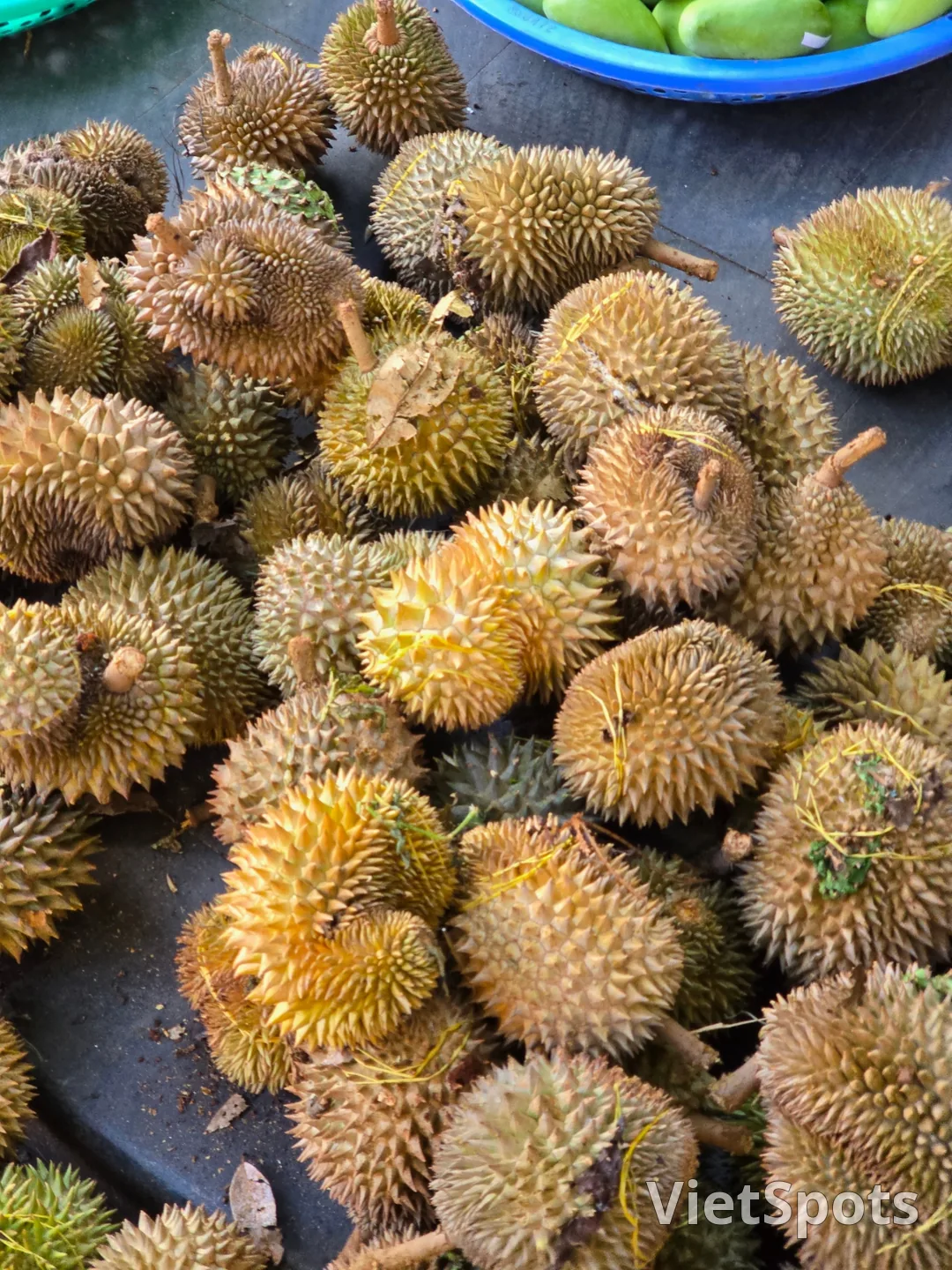 (🇻🇳6號房 8月30日~9月4日) 遊記.. 早市水果(黎明市場)