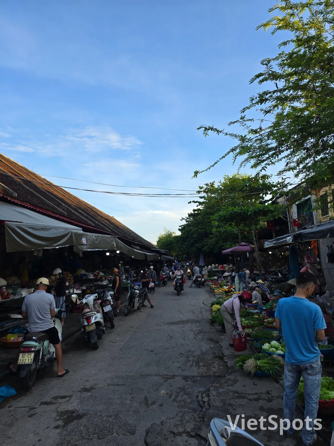 (🇻🇳6號房 8月30日~9月4日) 遊記.. 早市水果(黎明市場)