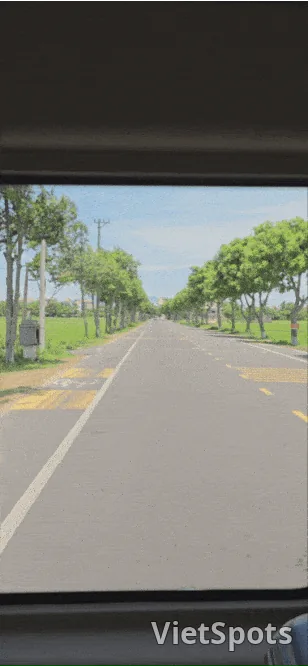 (🇻🇳6人房 8月30日~9月4日) 旅行记.. Dago车辆12小时租赁