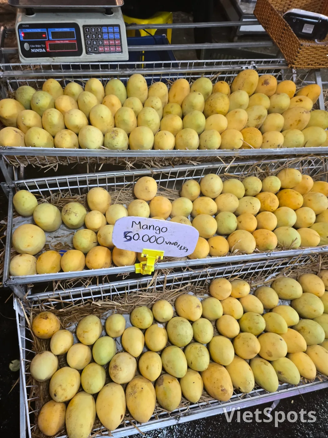 🇻🇳 遊記 24.12 與80多歲父母同行的第4天