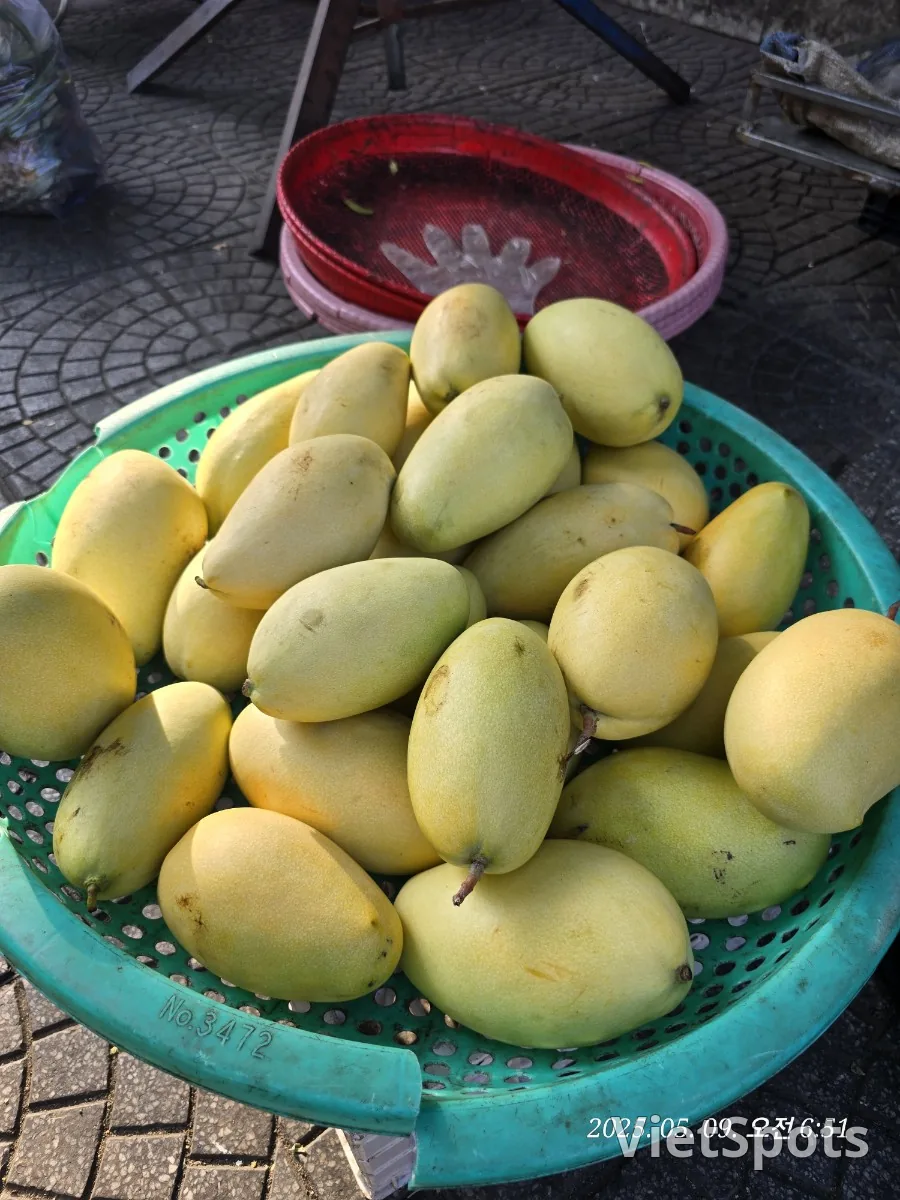 🇻🇳 Review (Well-matched, intermediate-level Da Nang trip 5-day course) Day 2