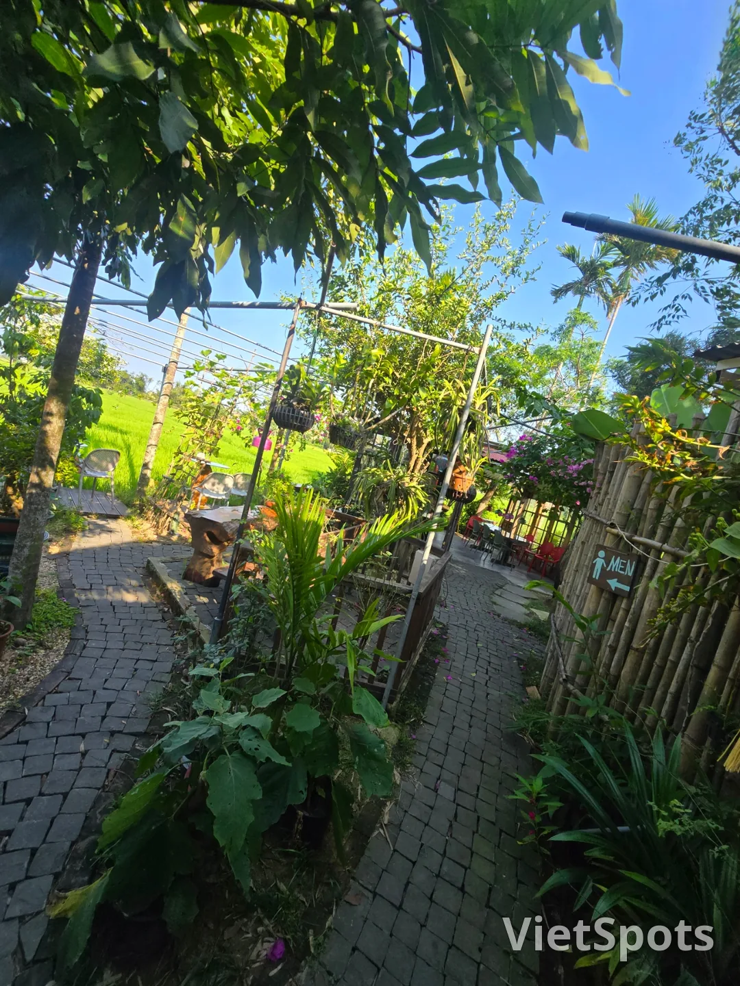 第7天游记🛫🇻🇳 会安稻田景色优美的咖啡馆