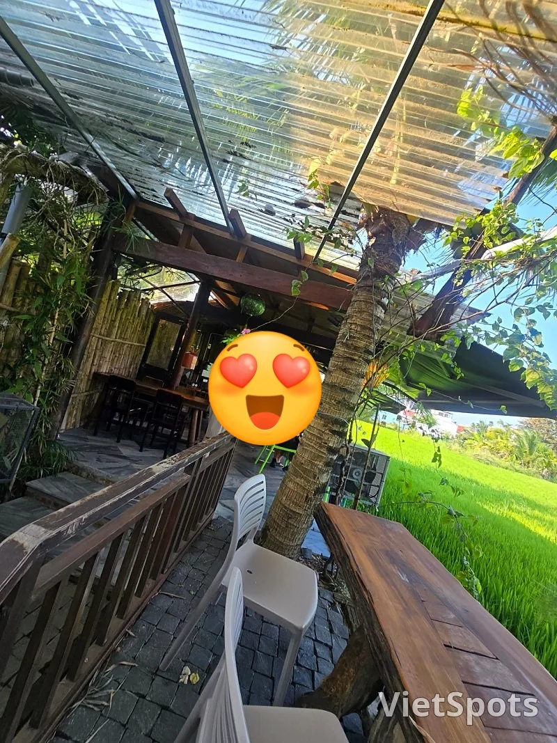 第7天游记🛫🇻🇳 会安稻田景色优美的咖啡馆