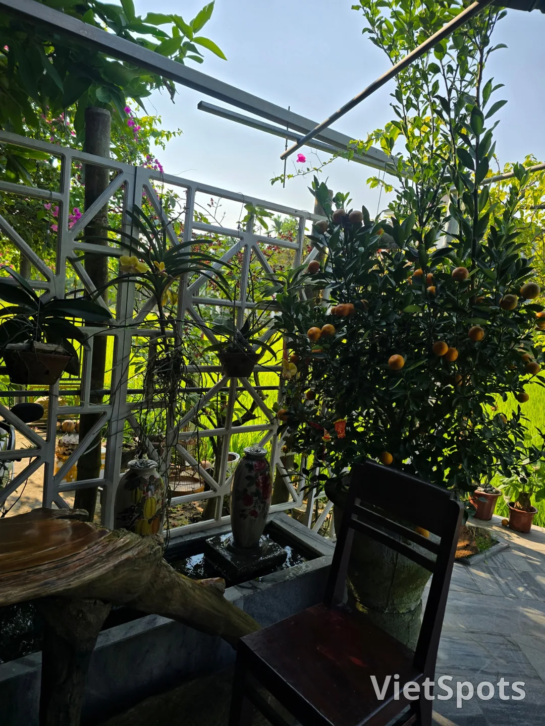 第7天游记🛫🇻🇳 会安稻田景色优美的咖啡馆