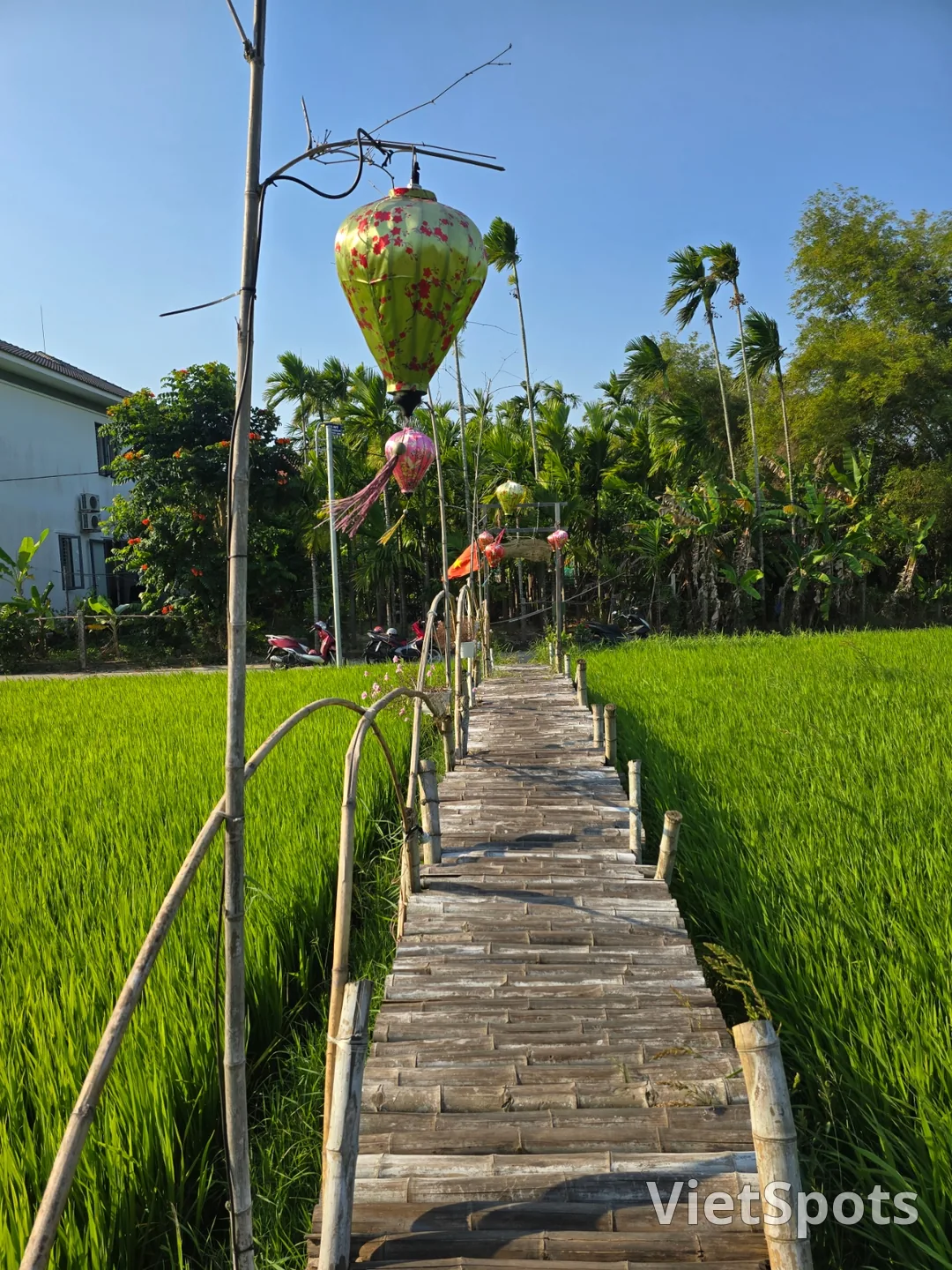 第7天游记🛫🇻🇳 会安稻田景色优美的咖啡馆