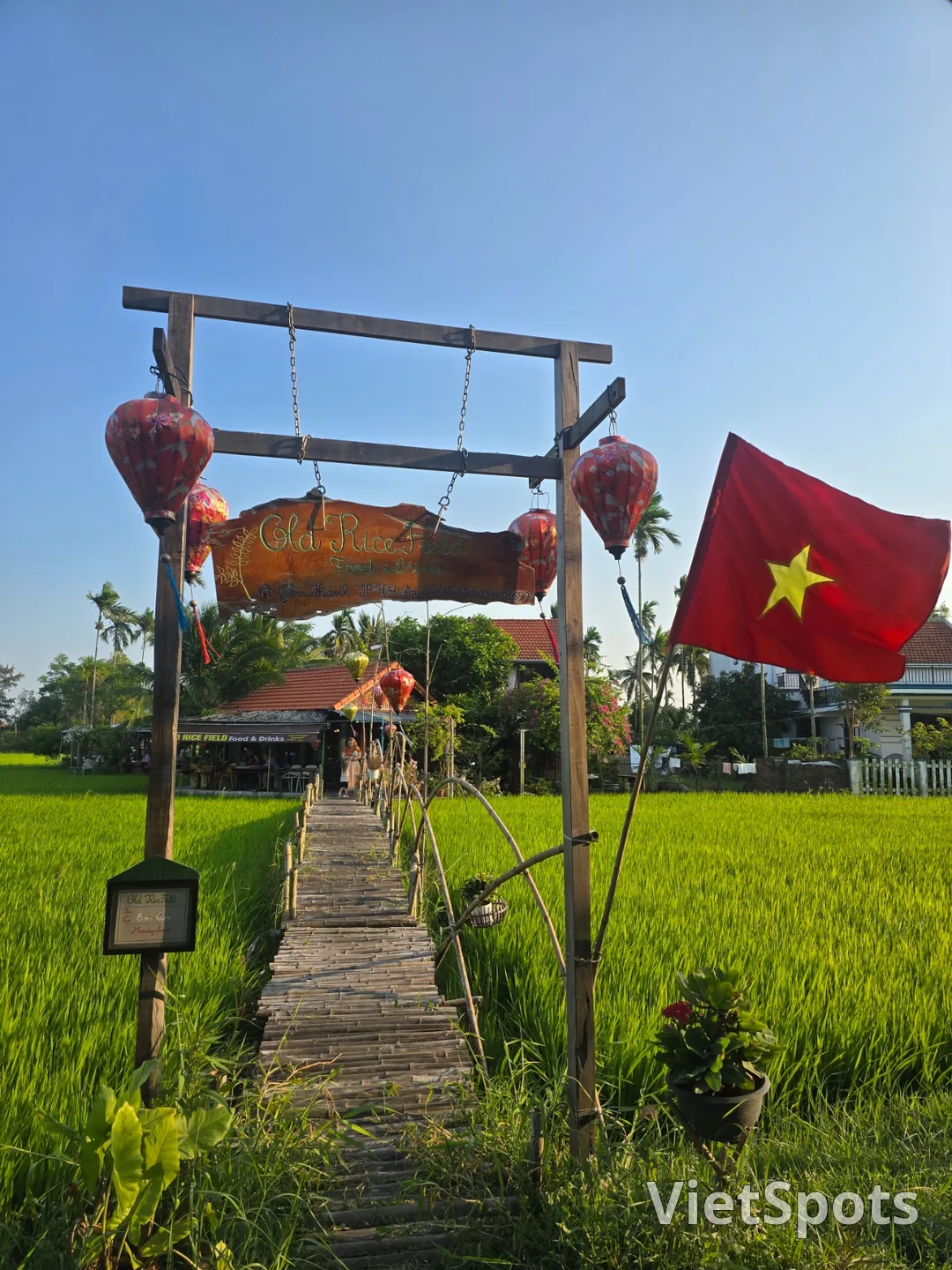 第7天游记🛫🇻🇳 会安稻田景色优美的咖啡馆