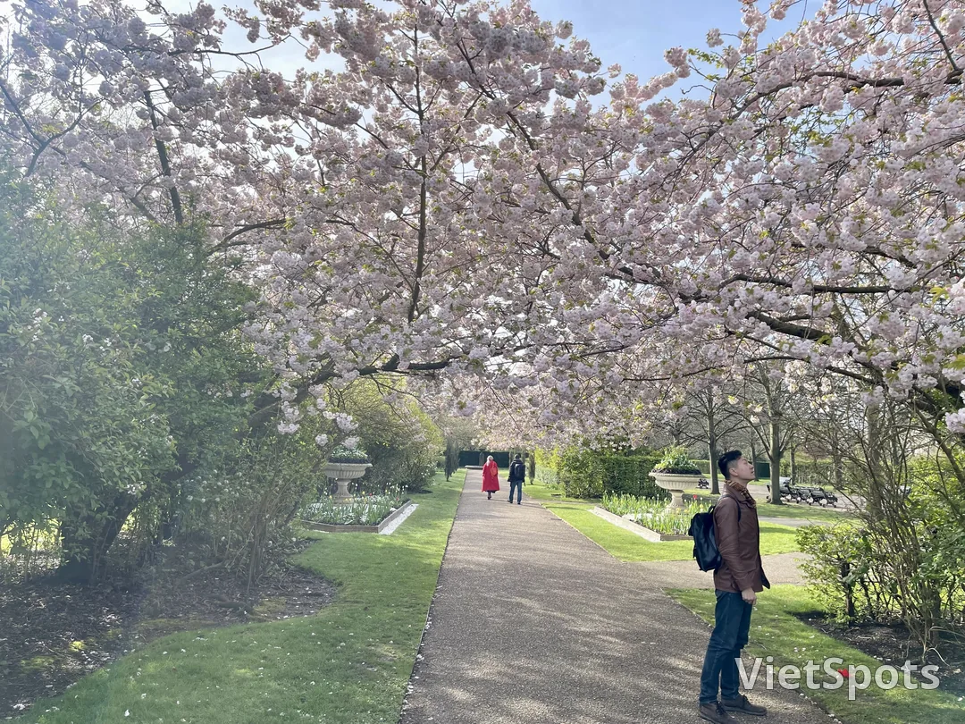 倫敦自由行攻略：8天7夜行程安排｜景點推薦、交通票券與音樂劇