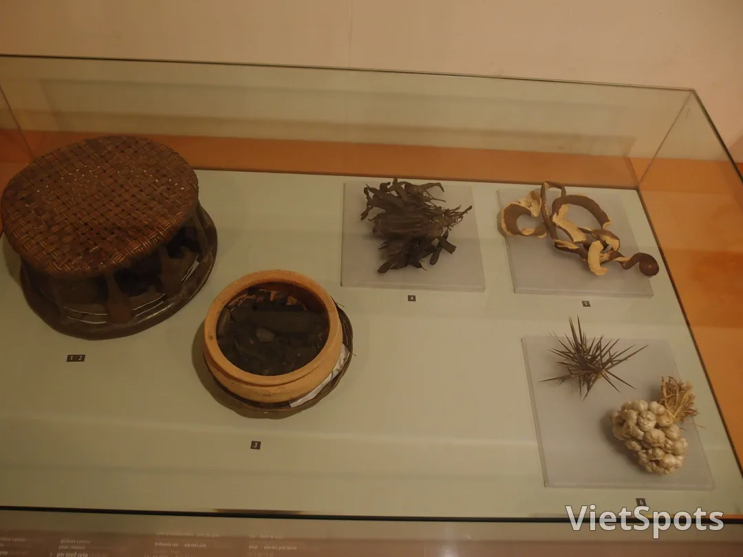 河內博物館#2:越南婦女博物館,了解越南女性歷史、文化與戰爭
