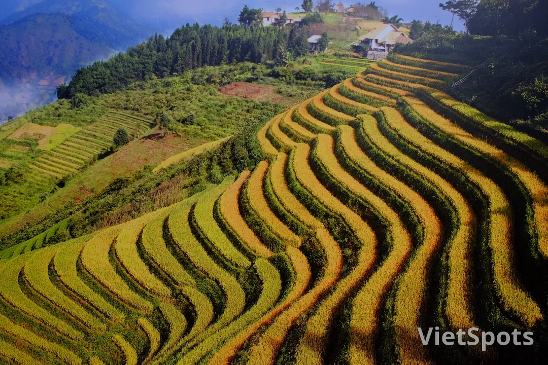 沙巴高山梯田景觀,越南北部山區特色風光