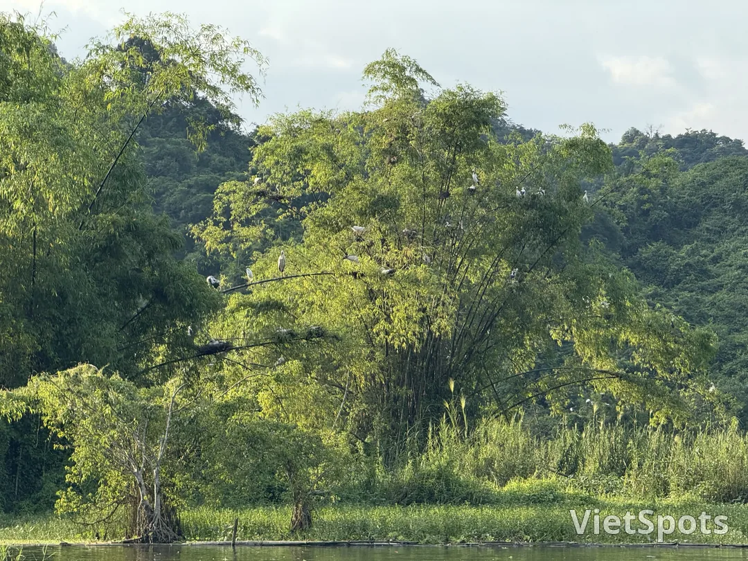 越南 UNESCO 世界遺產導覽(2025 版):7 處必訪經典