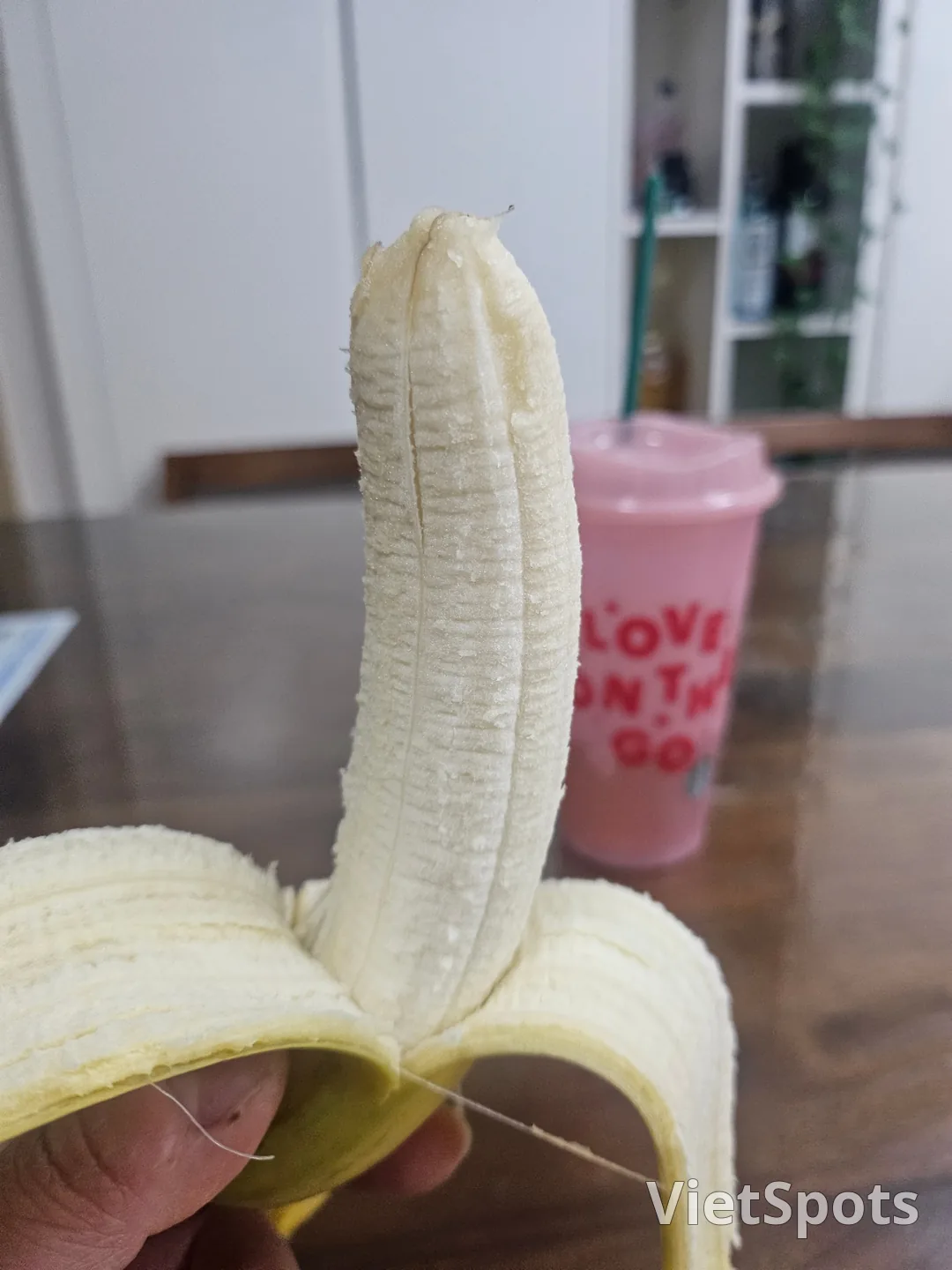 Dokki先生準備活動時的態度