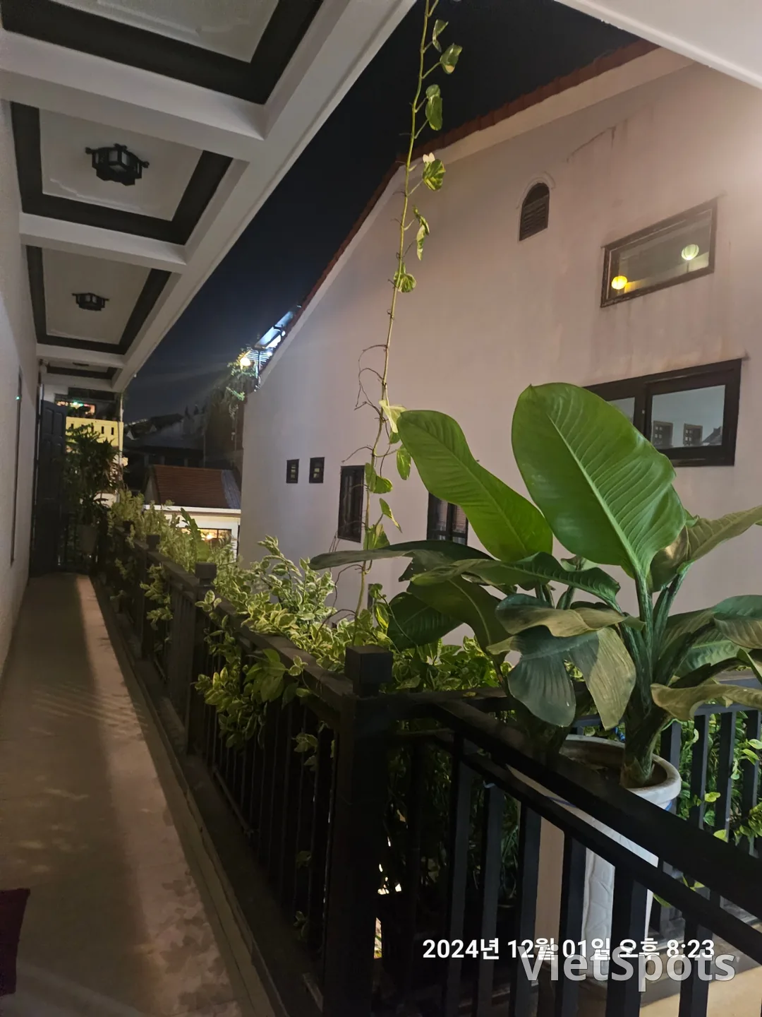 🇻🇳(review) Chợ đêm Hội An chỉ cách 1 phút đi bộ! Serenity Villa Hoian