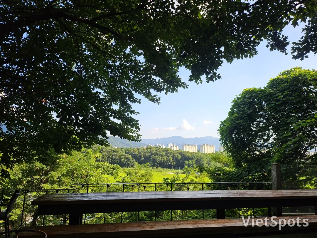 🇰🇷🍹🥐🥖ब्रेड फैक्ट्री लातेलिए किम्स