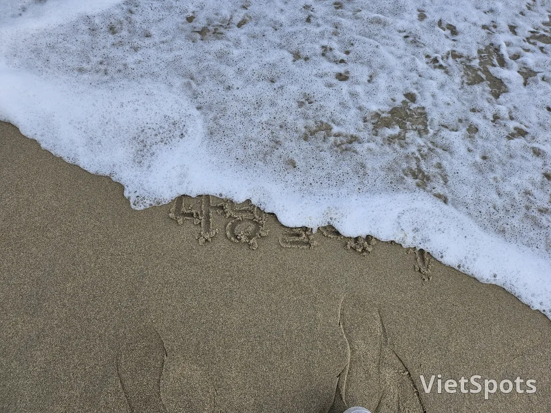 🇻🇳(評測)拯救我雙腳的既不是旅行，也不是朋友，而是韓市場運動鞋