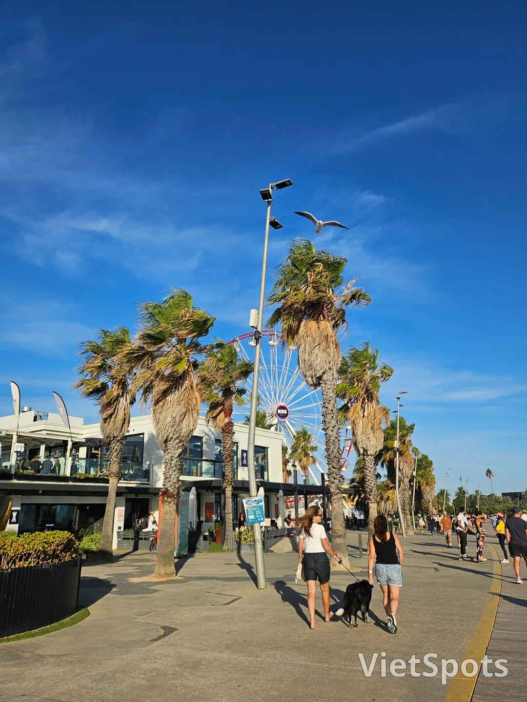 🇦🇺日落名胜~墨尔本圣基尔达海滩(St Kilda beach)