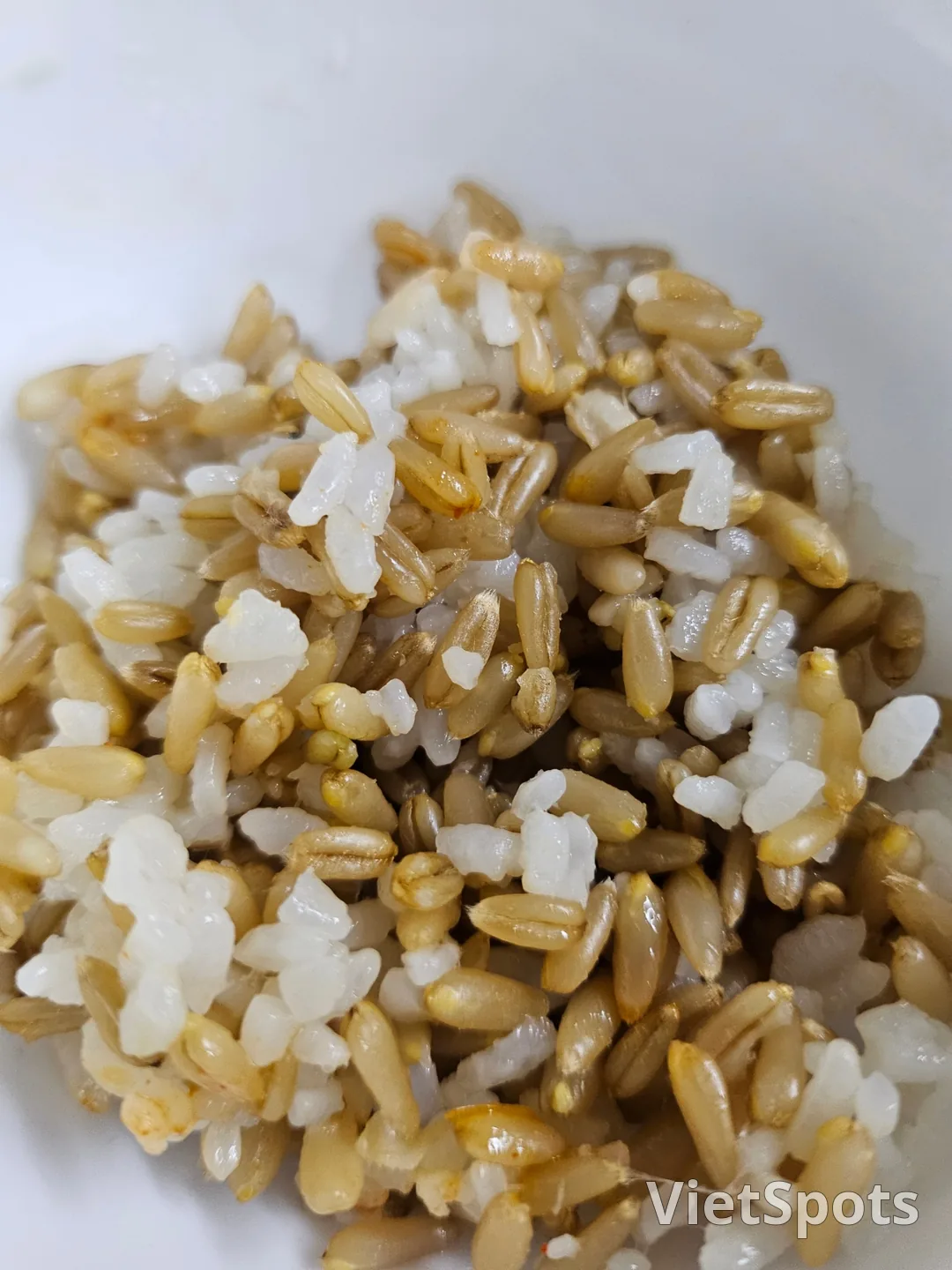 熟成キムチと鯖の煮付け