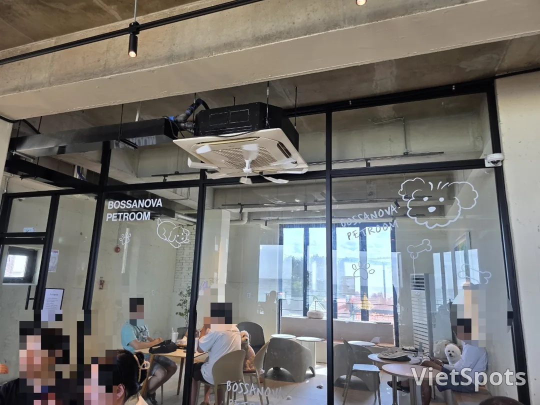 🇰🇷 Bossa Nova Coffee Roasters chi nhánh Gangneung ☕️