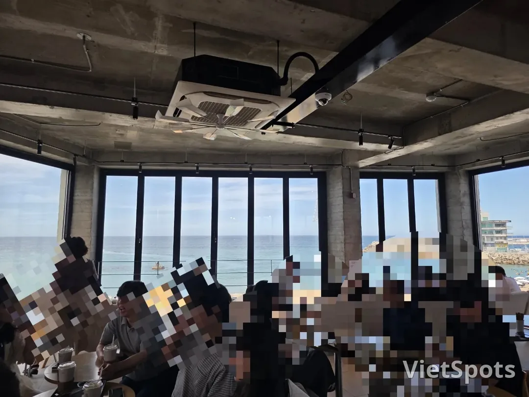🇰🇷 Bossa Nova Coffee Roasters chi nhánh Gangneung ☕️