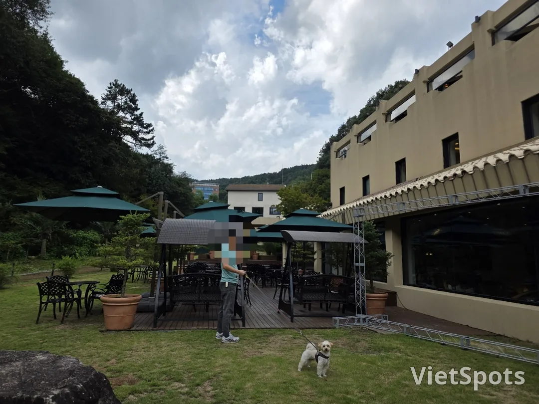 🇰🇷Yongin Jeong-geuri! Come play in the forest