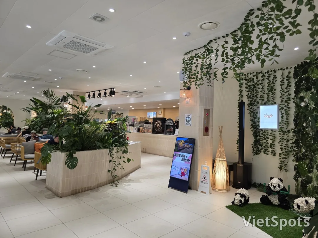 🇰🇷Yongin Jeong-geuri! Come play in the forest
