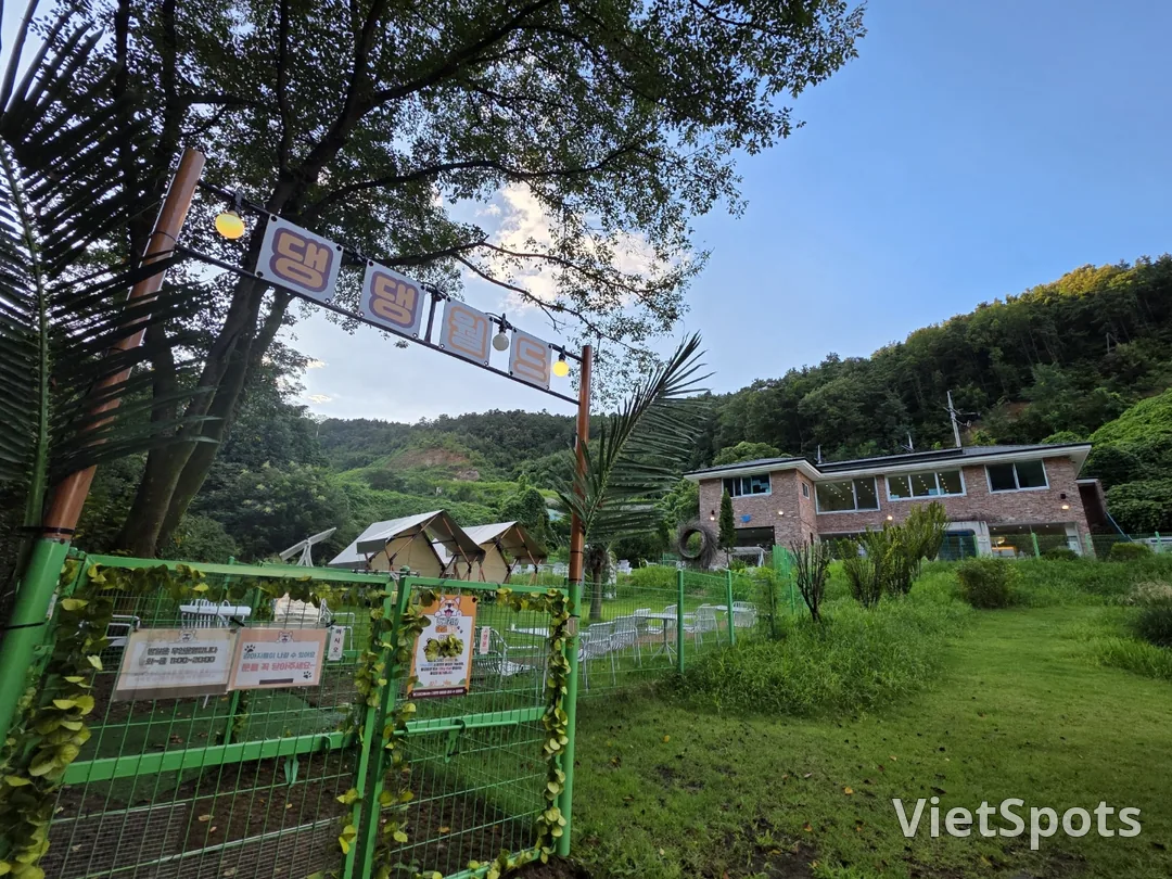 🇰🇷Yongin Jeong-geuri! Come play in the forest