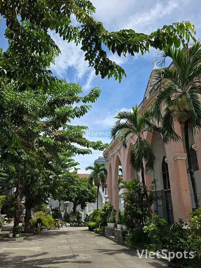 🇻🇳 晴朗天空下的粉红教堂