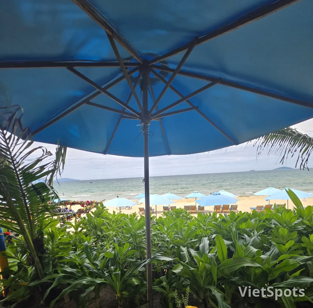 🇻🇳 Wow! Cảnh đẹp ghê! Gió cũng mát nữa!
