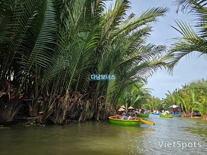 🇻🇳 很高兴见到你，多灵！