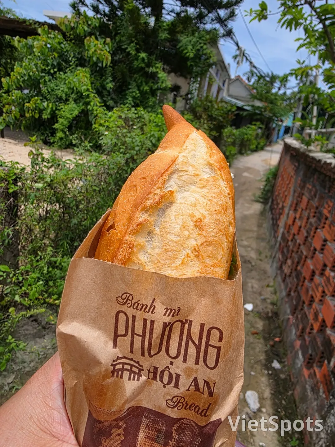 🇻🇳 在意想不到的路上邂逅的小小幸福