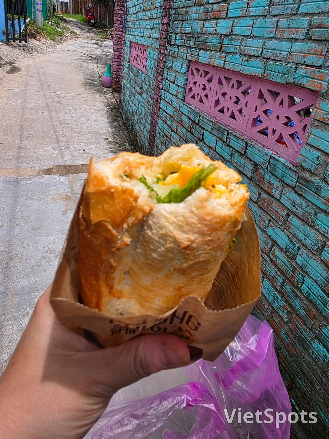 🇻🇳 在意想不到的路上邂逅的小小幸福