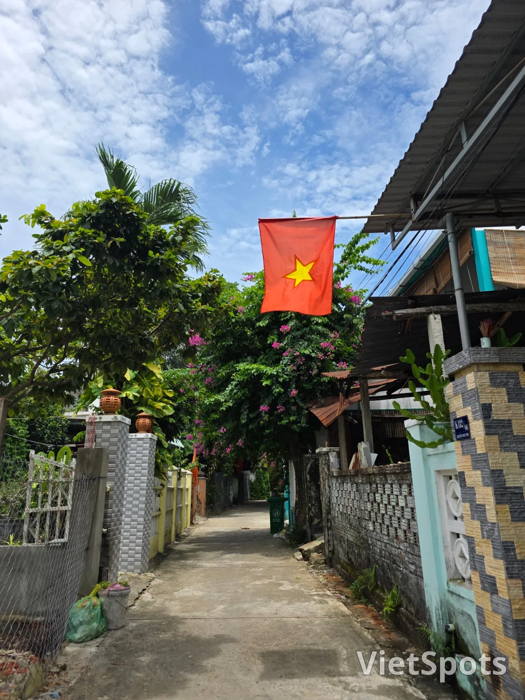 🇻🇳 在意想不到的路上邂逅的小小幸福