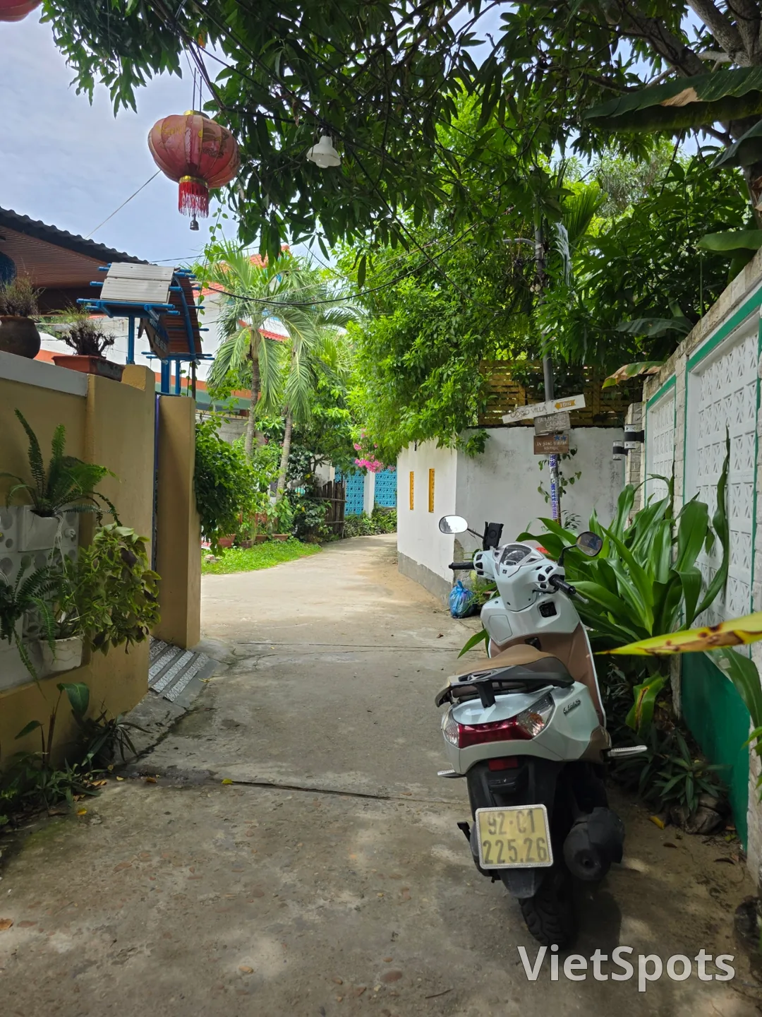 🇻🇳 在意想不到的路上邂逅的小小幸福