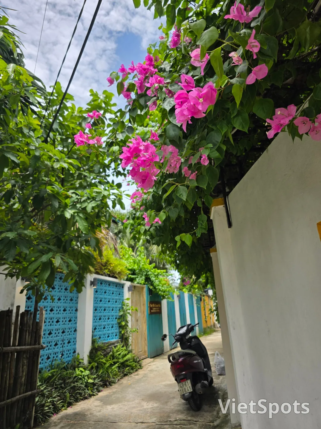 🇻🇳 在意想不到的路上邂逅的小小幸福