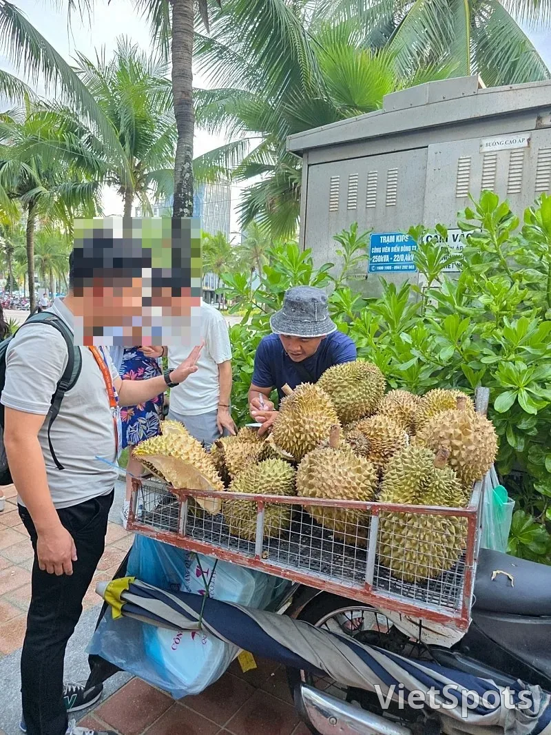 🇻🇳 找到了!菠蘿蜜!