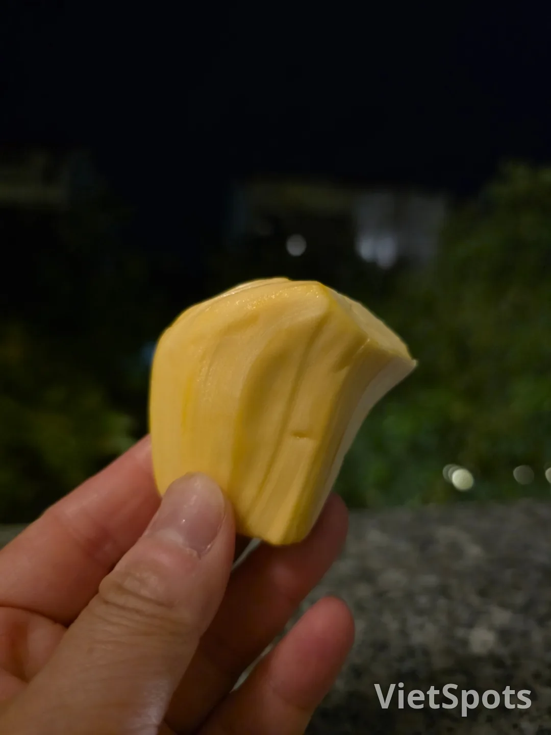 🇻🇳 找到了!菠蘿蜜!