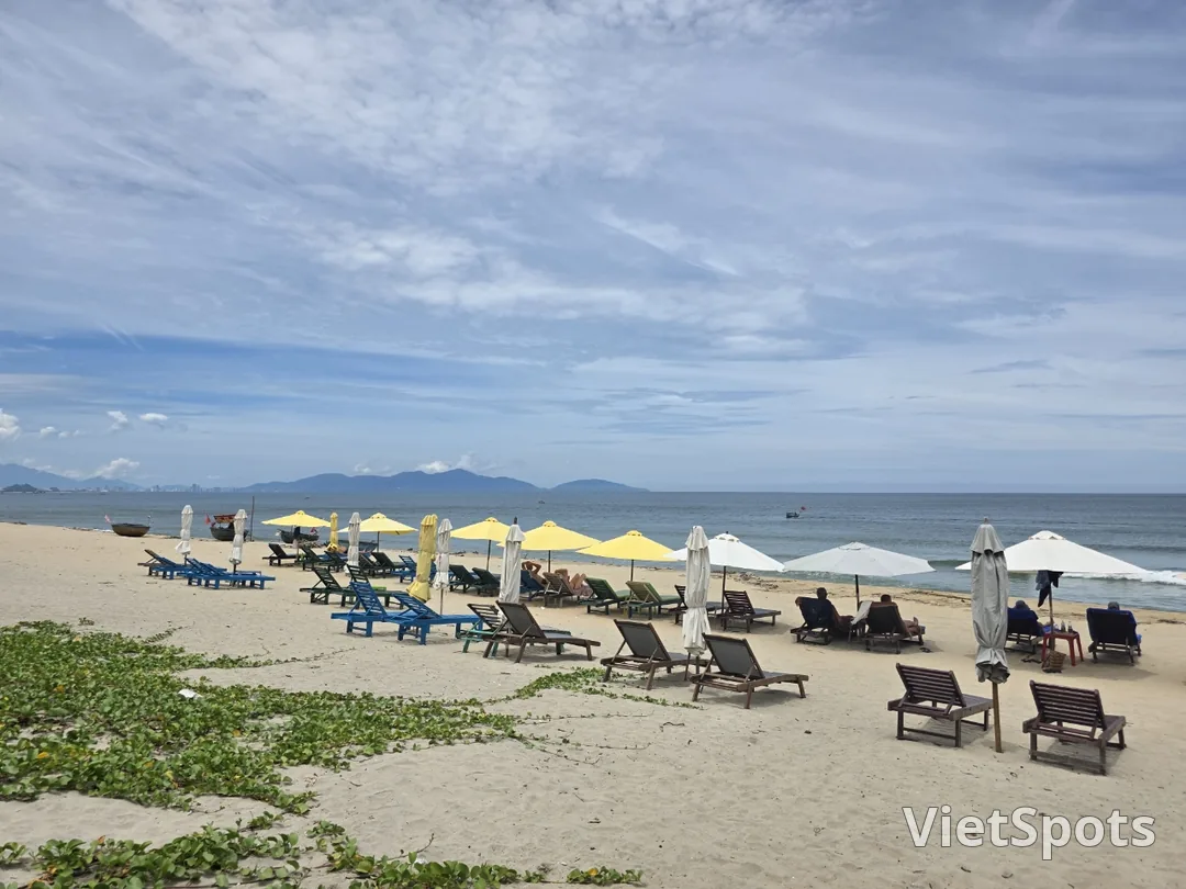 🇻🇳 Khoảnh khắc đẹp như một bức tranh
