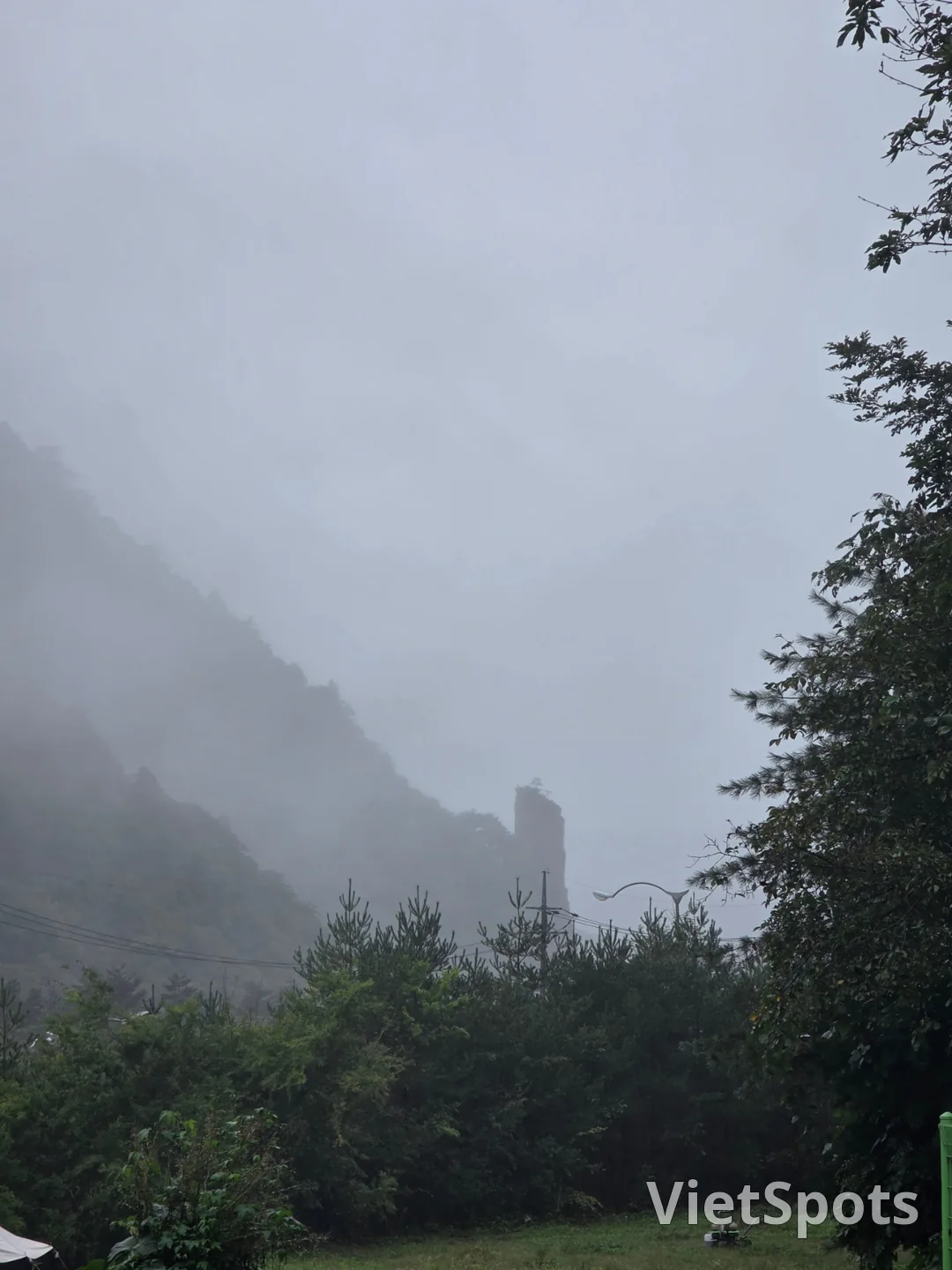 सुंदर दिखते हैं इसलिए उन्हें मत खाइए~ प्रकृति के लिए छोड़ दीजिए🍄