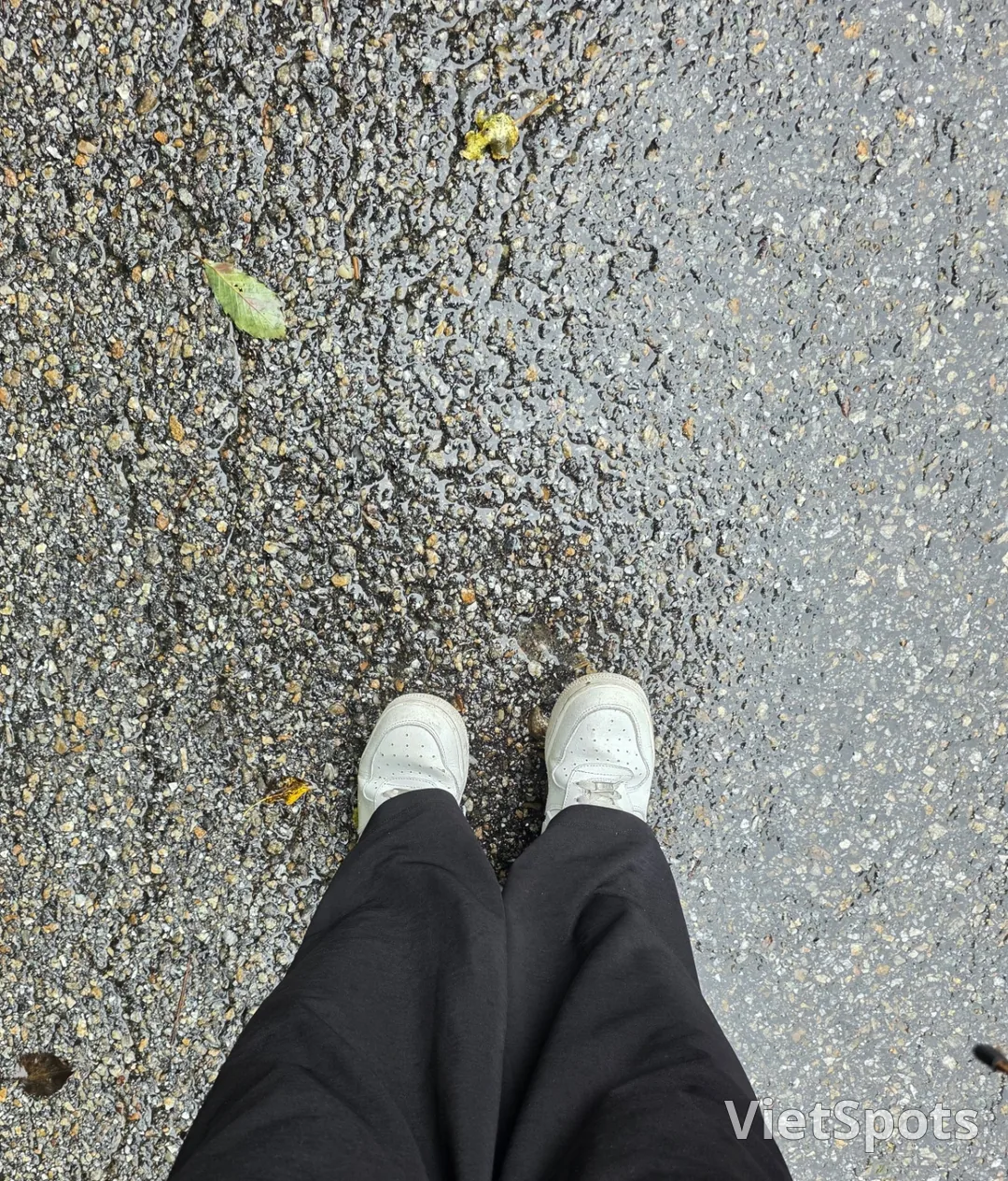 सुंदर दिखते हैं इसलिए उन्हें मत खाइए~ प्रकृति के लिए छोड़ दीजिए🍄