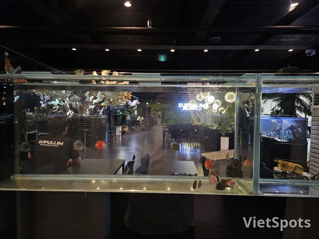 🇰🇷 ซูพลิม อควา คาเฟ่ แอนด์ ผับ