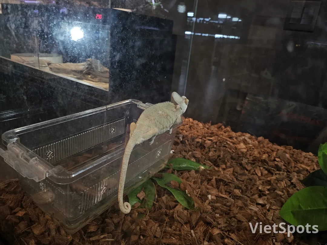 🇰🇷 ซูพลิม อควา คาเฟ่ แอนด์ ผับ
