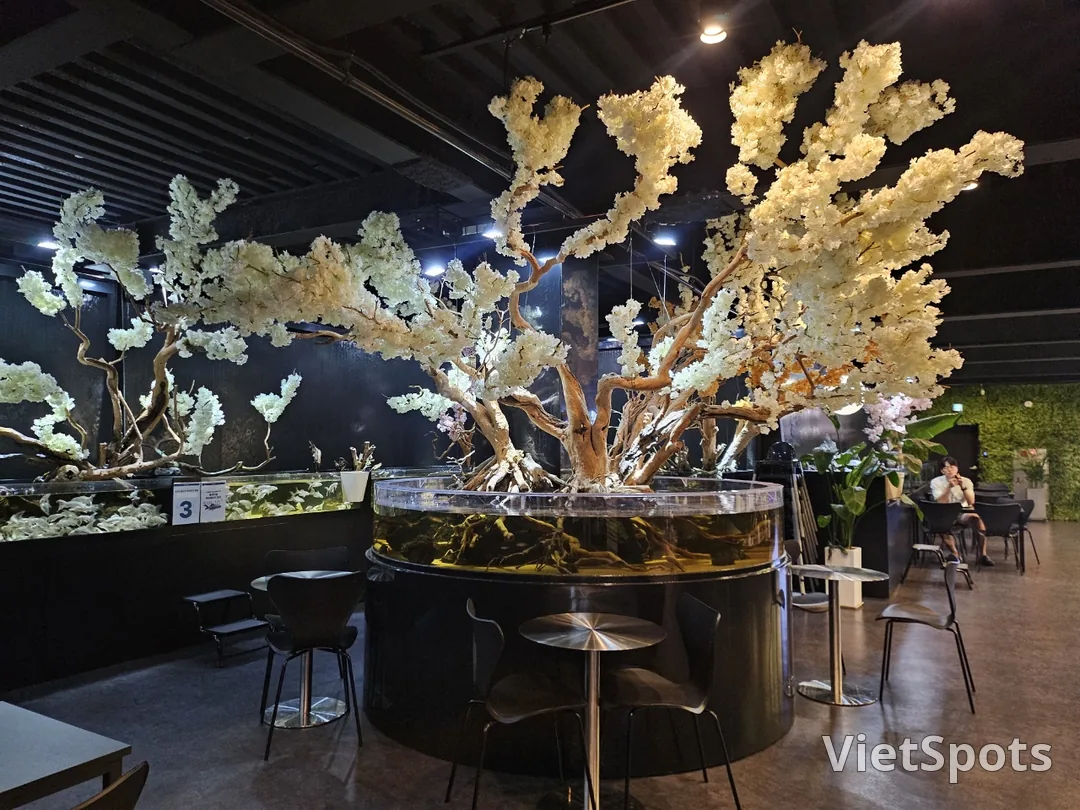 🇰🇷 ซูพลิม อควา คาเฟ่ แอนด์ ผับ
