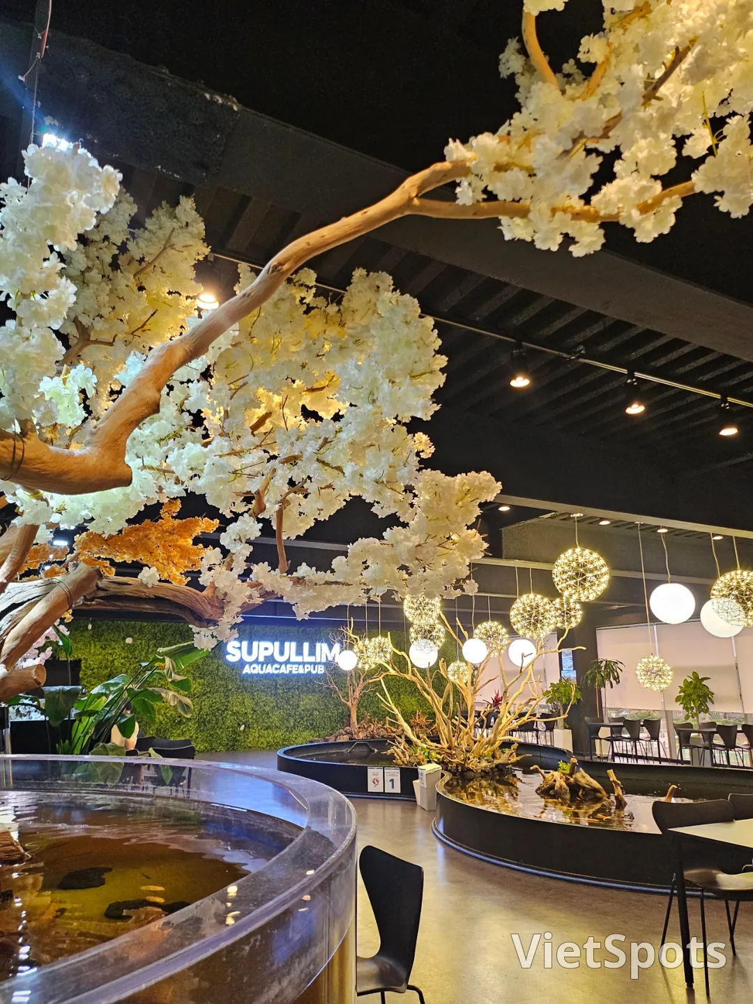 🇰🇷 ซูพลิม อควา คาเฟ่ แอนด์ ผับ