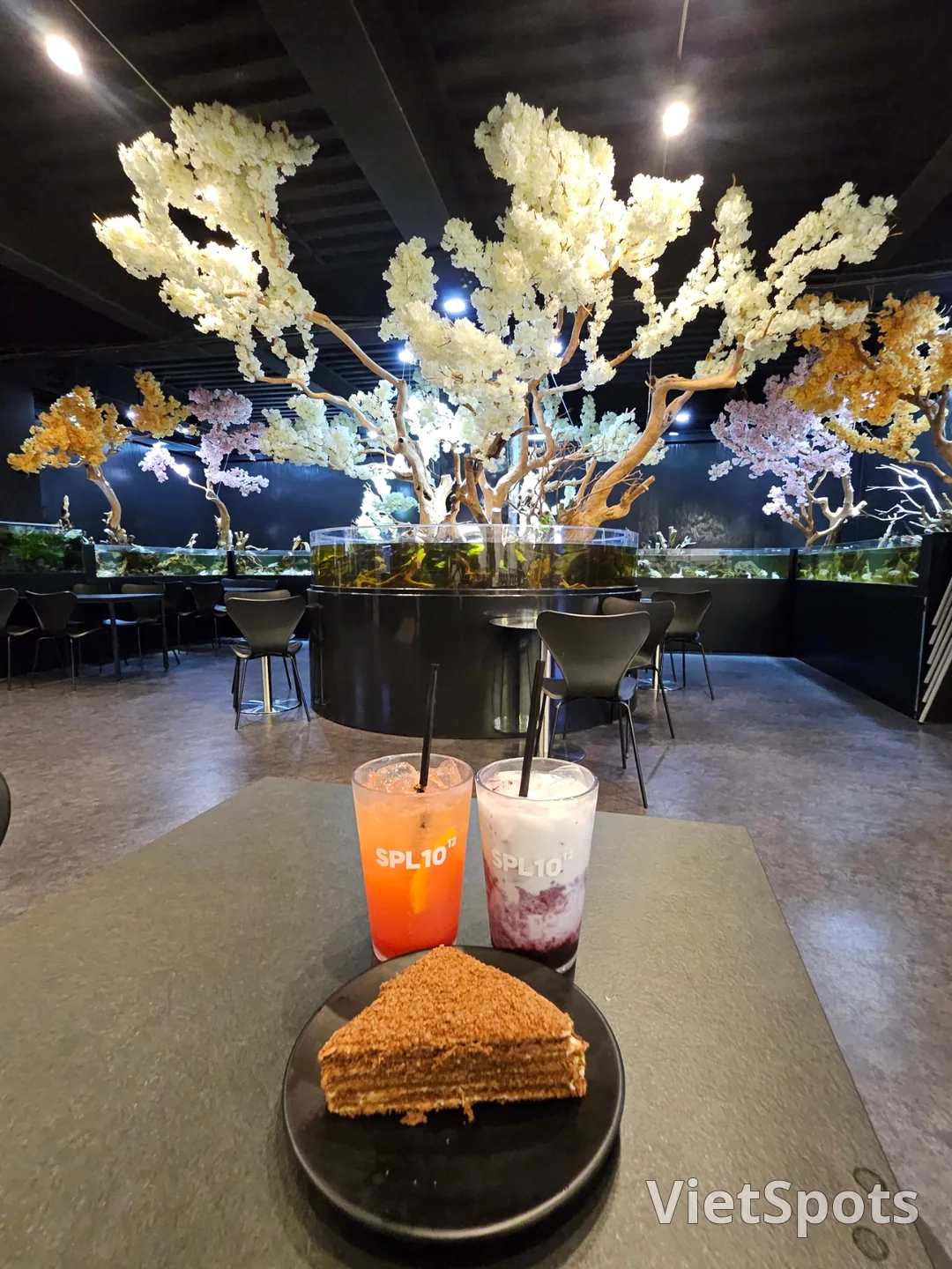 🇰🇷 ซูพลิม อควา คาเฟ่ แอนด์ ผับ